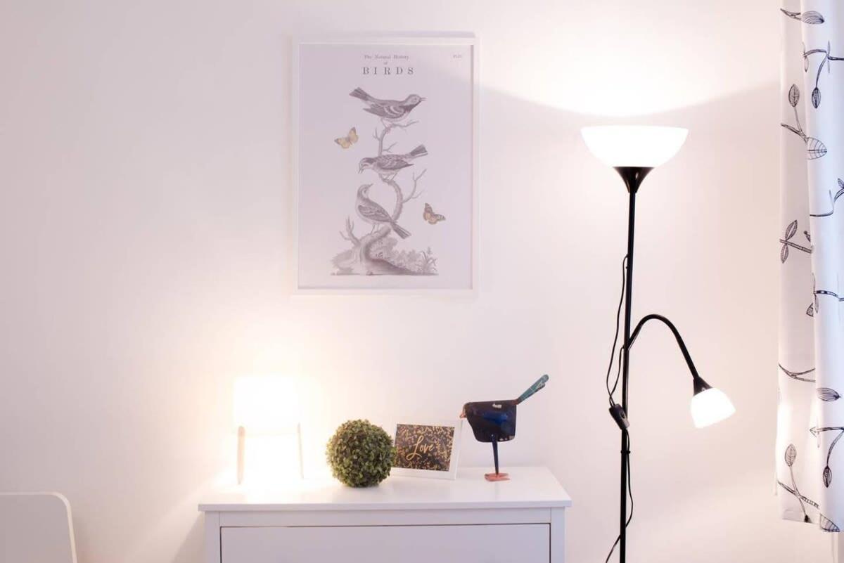 Apartamento Ultra Central - Ac - Comfy *